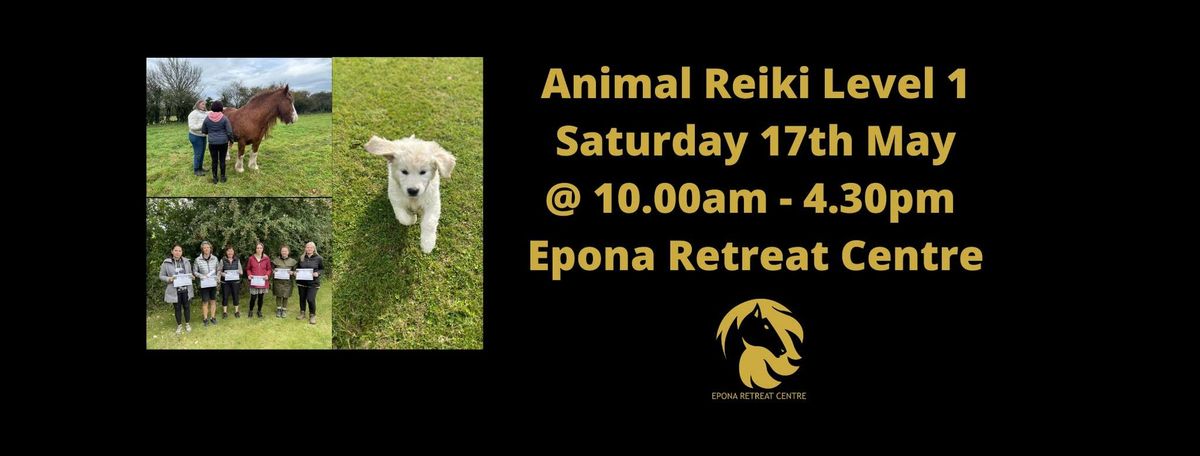 Animal Reiki Level 1 