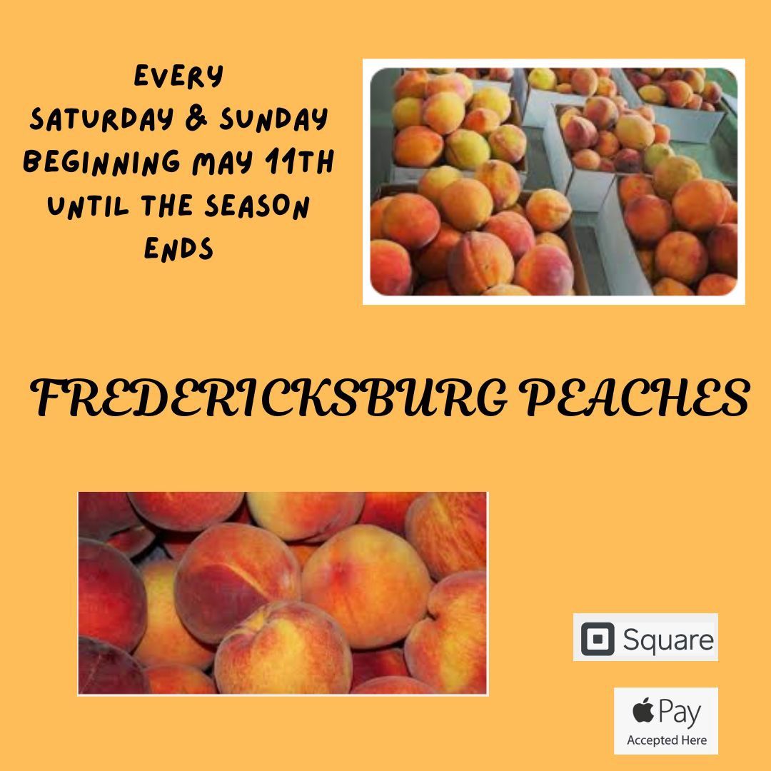 Fredericksburg Peaches 