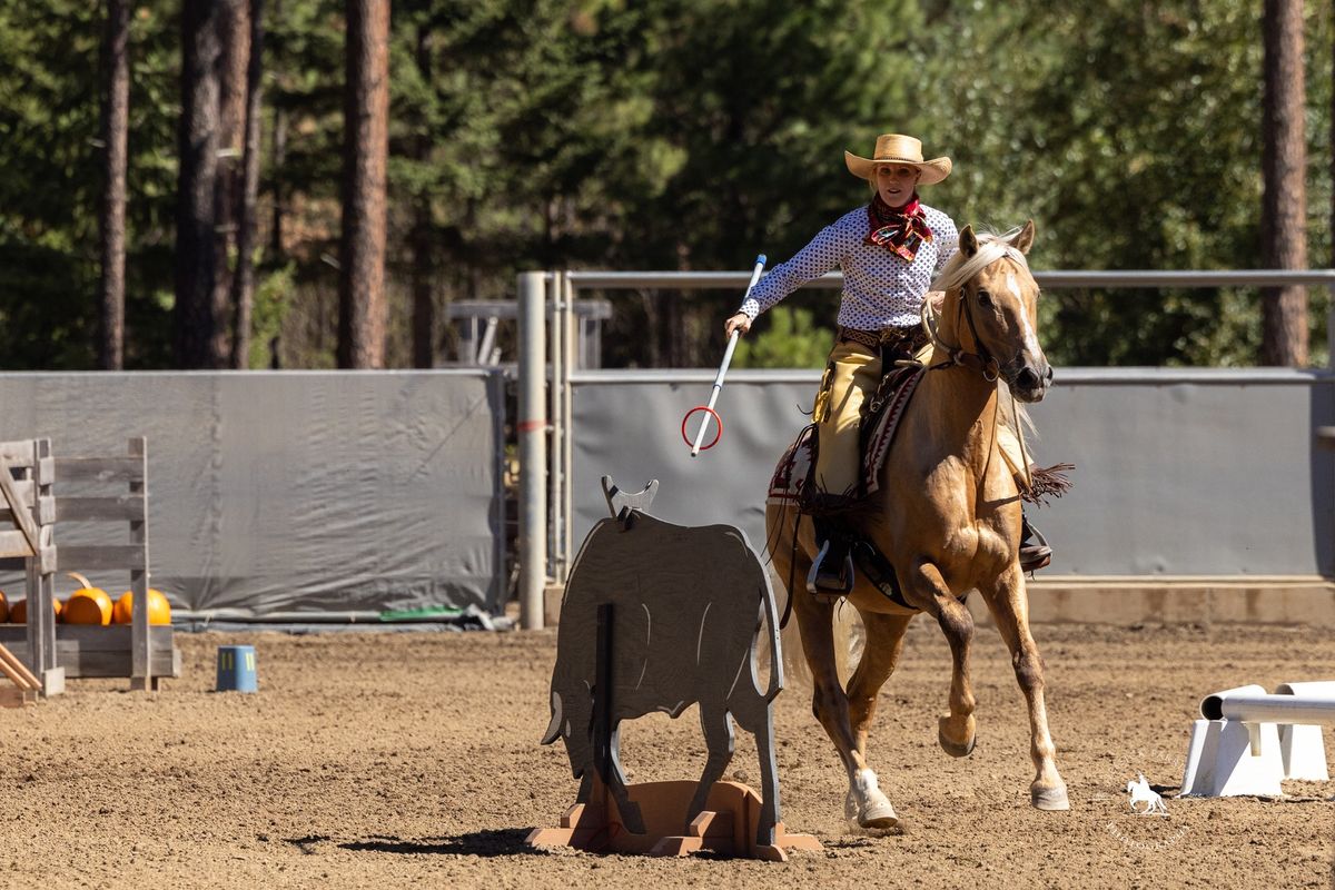 Working Equitation Training Camp! 