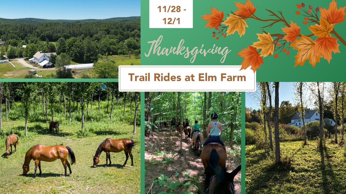 Trail Rides at Elm Farm