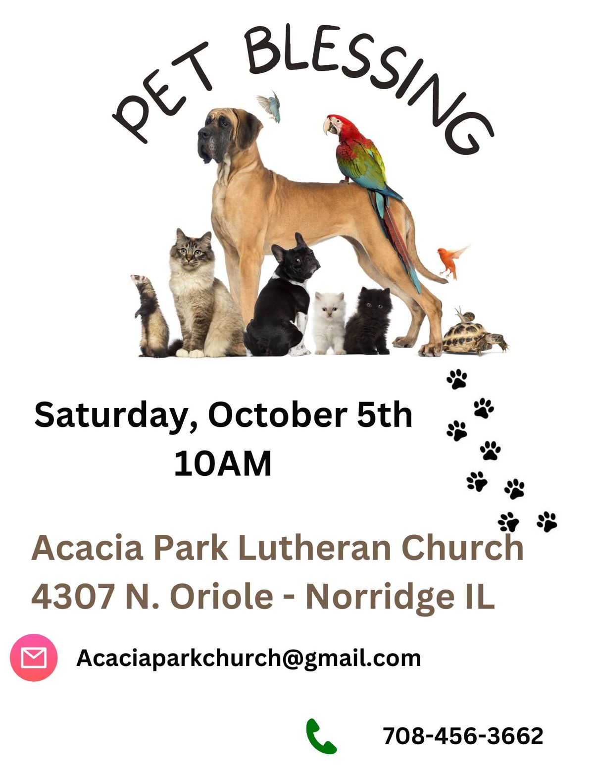 Blessing of the Animals and Pets