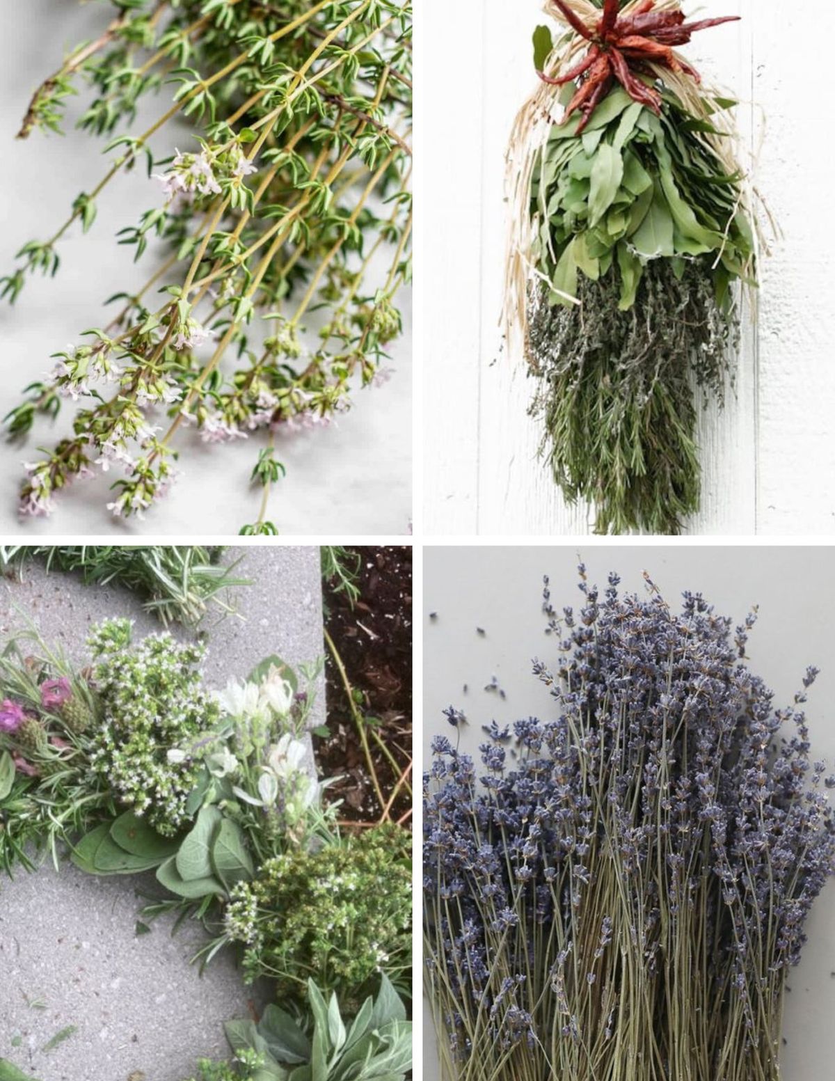 Spring Herb + Floral Swag Workshoppe