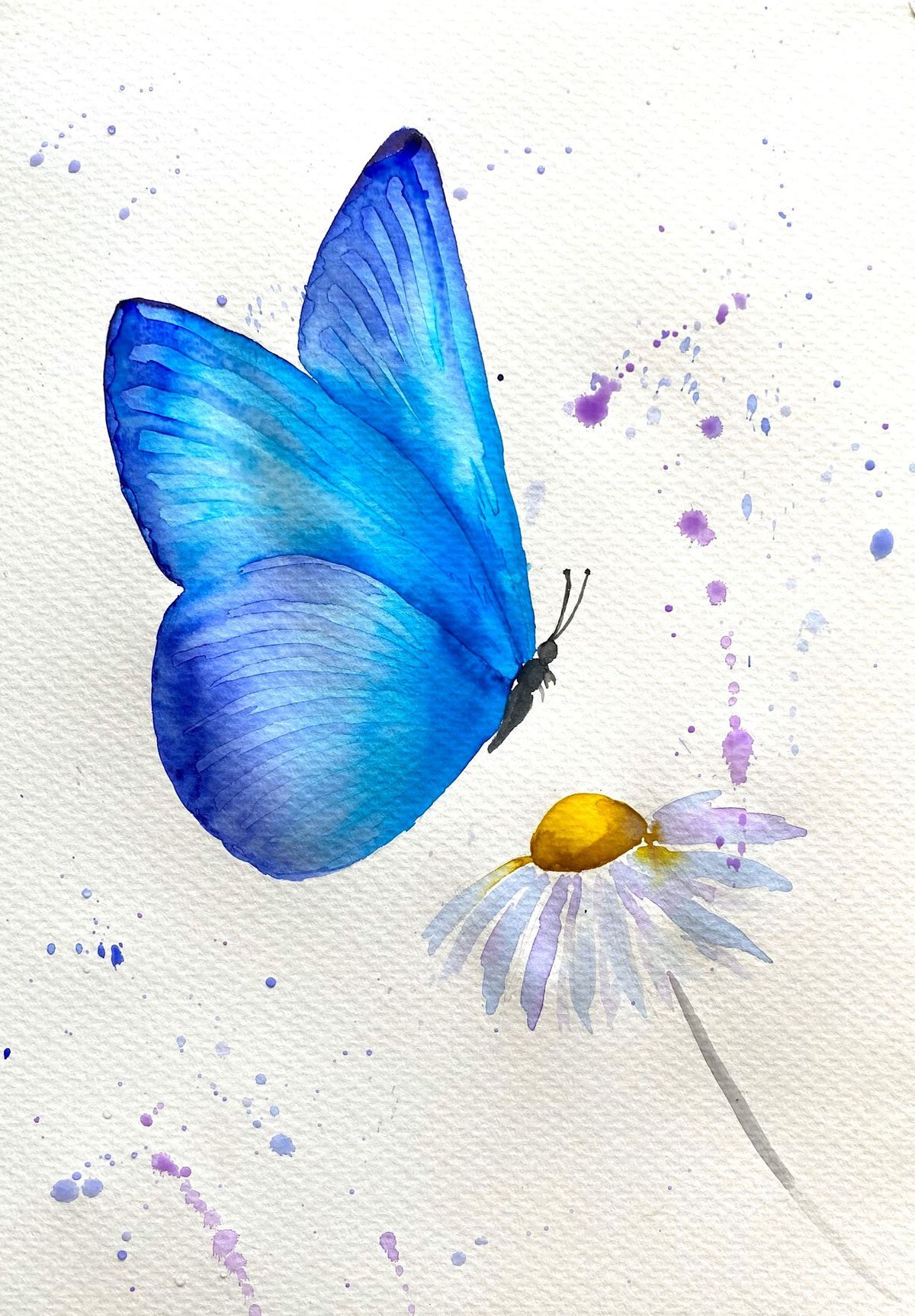 Watercolour and Wine Night in Rotorua - Midnight Butterfly