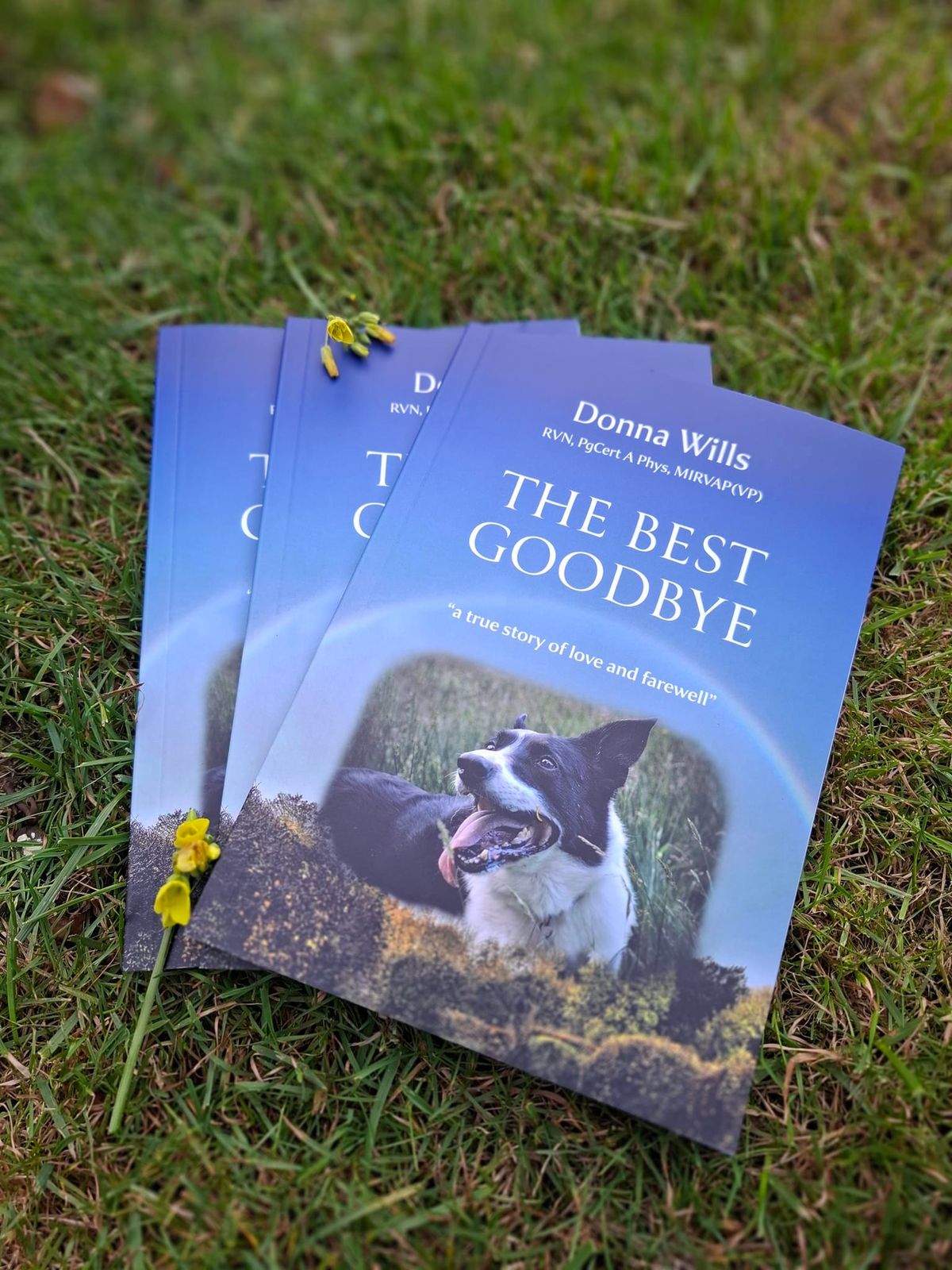 Meet the Author: The Best Goodbye Book Launch