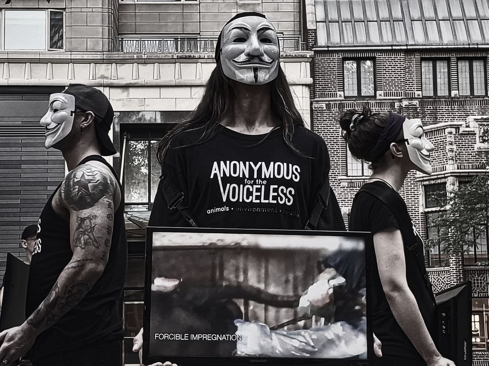 Cube of Truth: Chicago: July 9th: 4:00PM