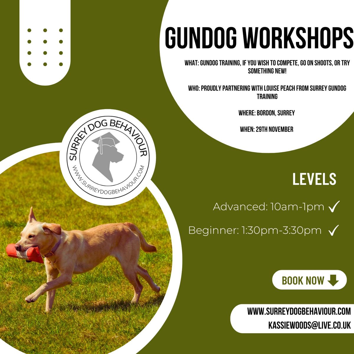 Gundog Workshops