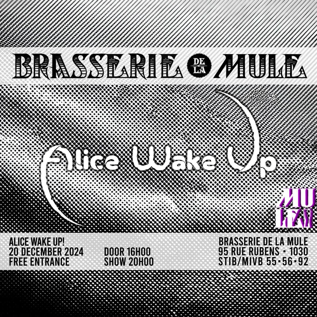 Alice Wake Up! \u2022 20\/12 \u2022 La Mule