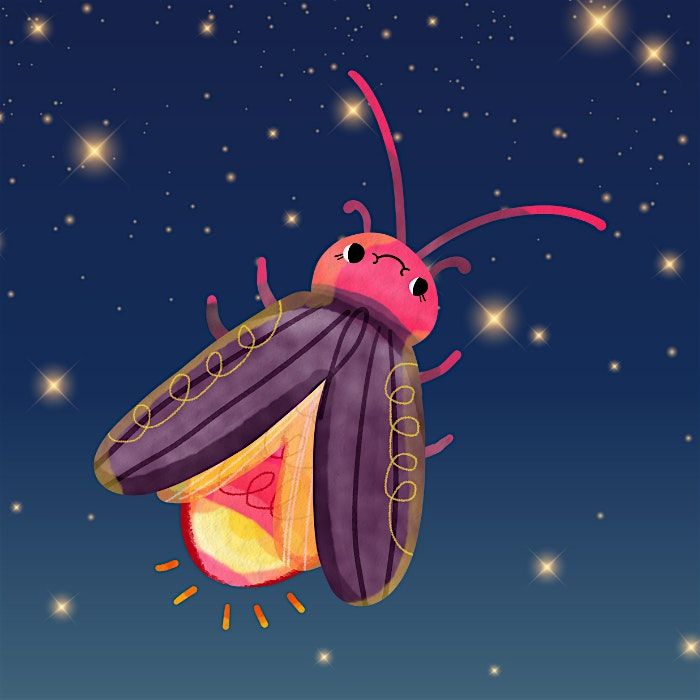 Jr. Scientists: Why Do Fireflies Glow?