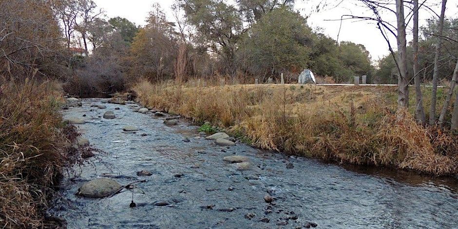 Creek Clean-up - Secret Ravine (behind Regal UA Olympus Pointe Movie Theatre)