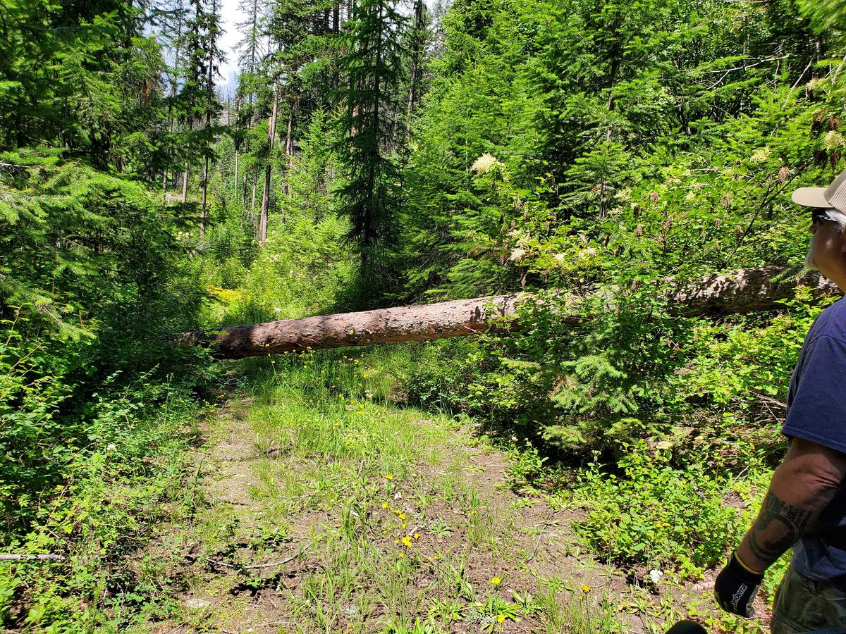 ADA Route Patrol - Boundary Mtn