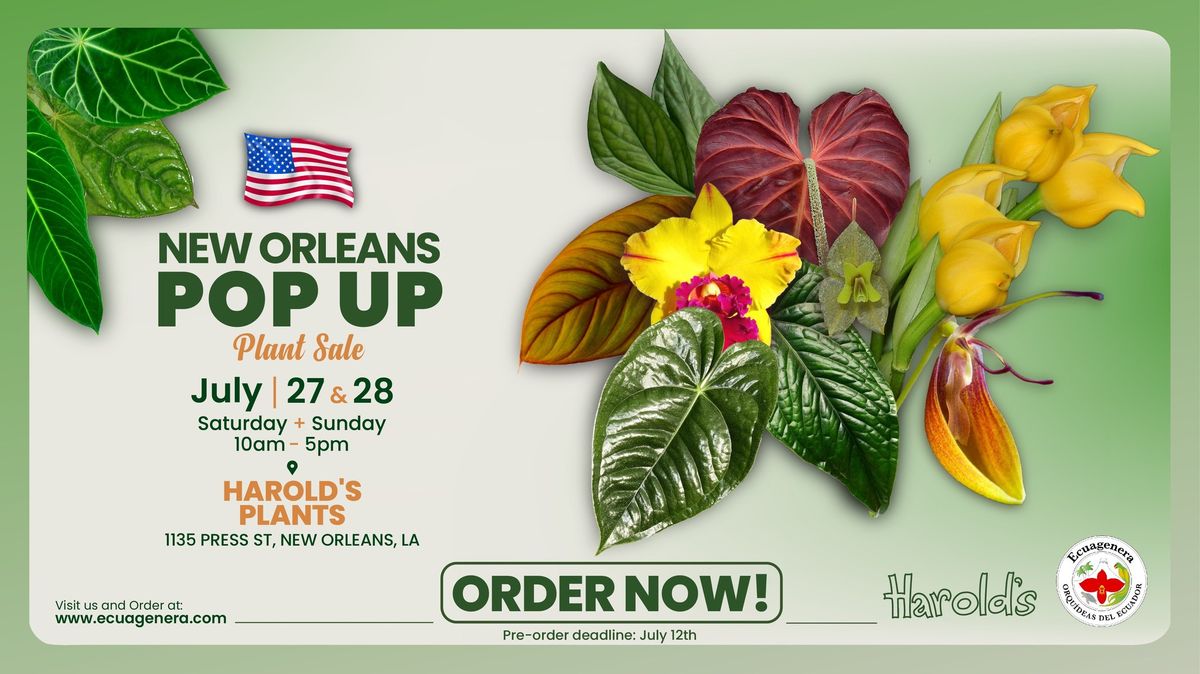 New Orleans Pop Up - Plant Sale
