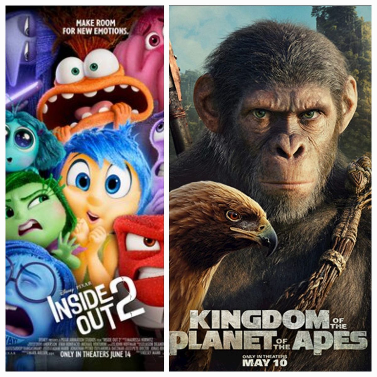 Double Feature of Inside Out 2 & Kingdom of the Planet of the Apes
