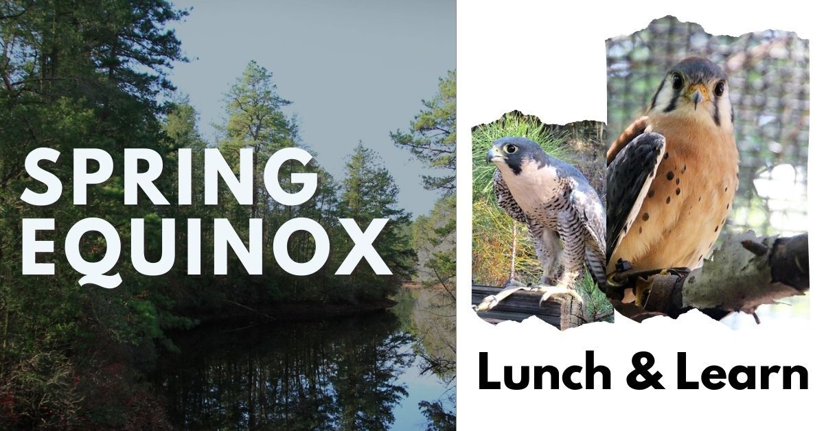 Spring Equinox Lunch & Learn