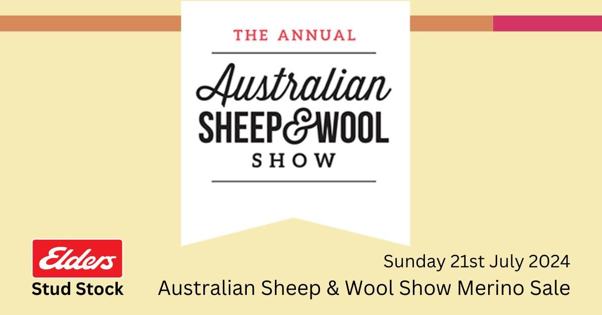 Australian Sheep & Wool Show Merino Sale