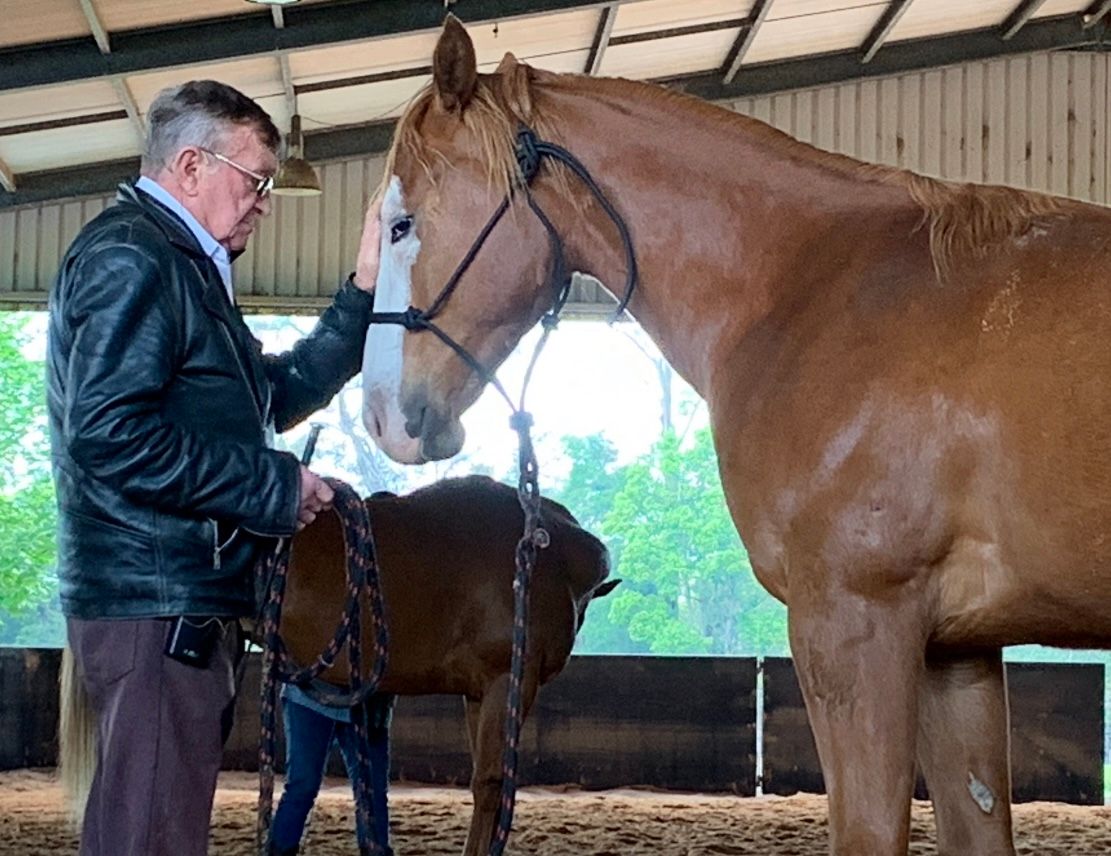 Ian Bruce Horsemanship Two Day Clinic