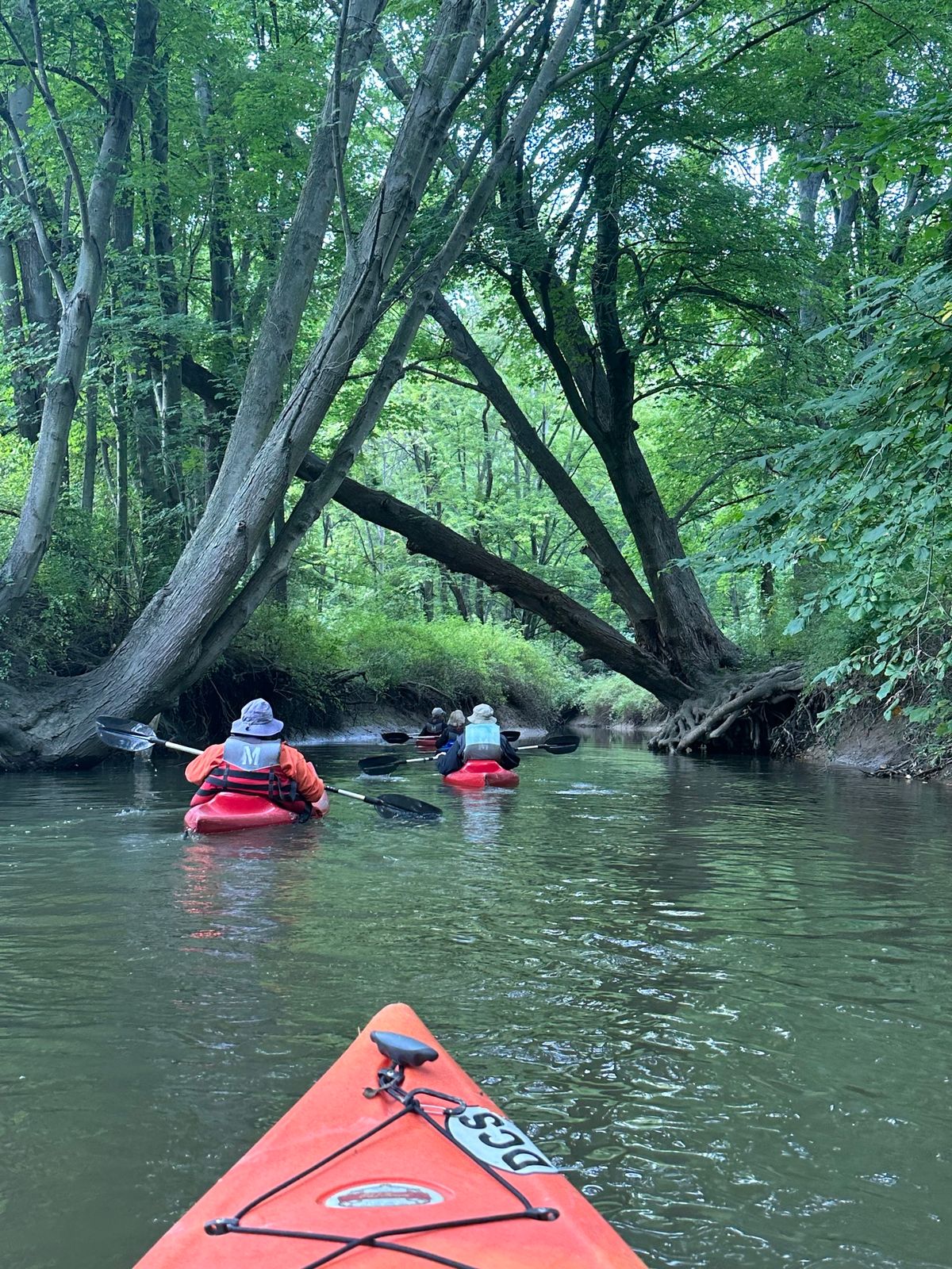 Spring Paddle