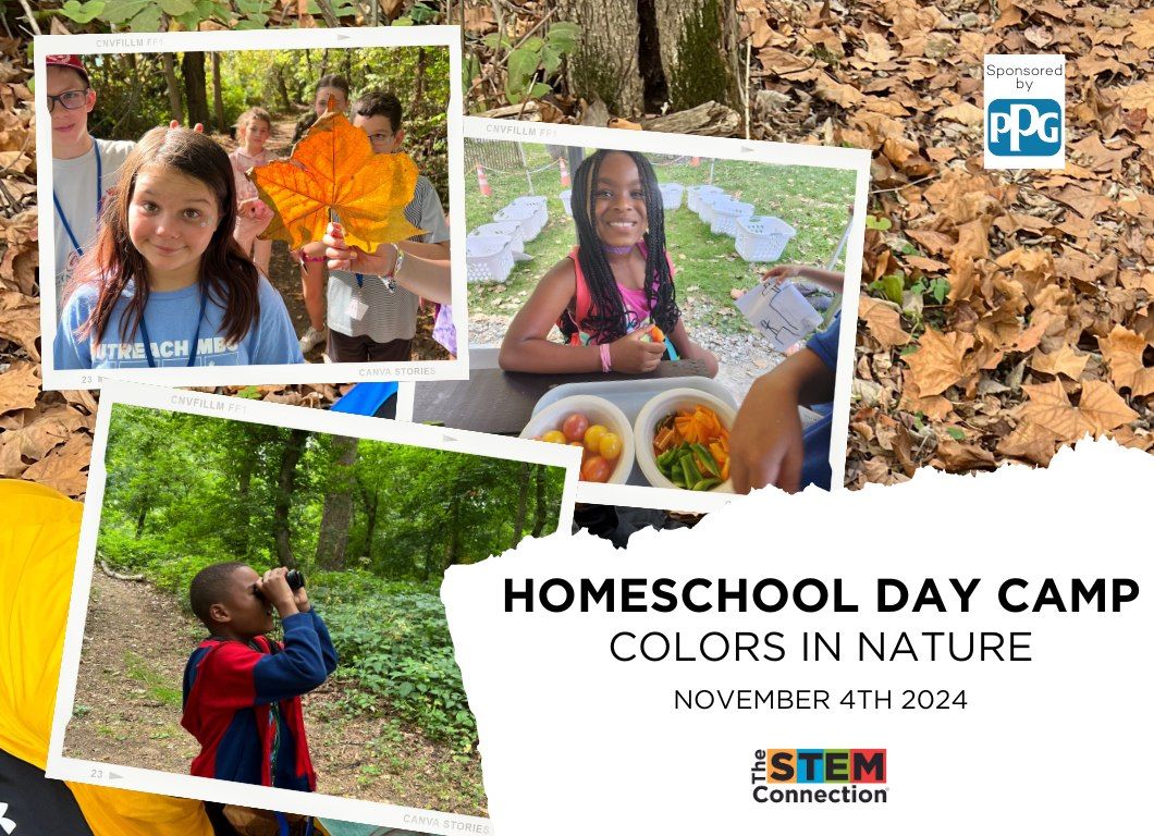 Colors In Nature Homeschool Day Camp