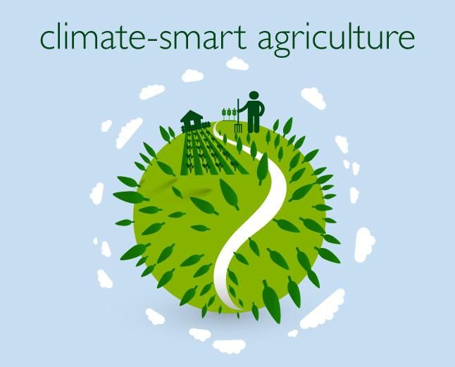 Training  on Climate Smart Agriculture For Mitigating Climate Change Effects