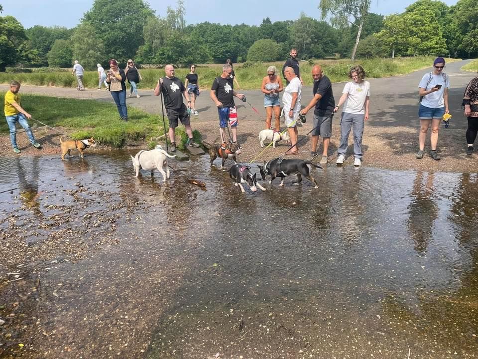 Cannock Chase