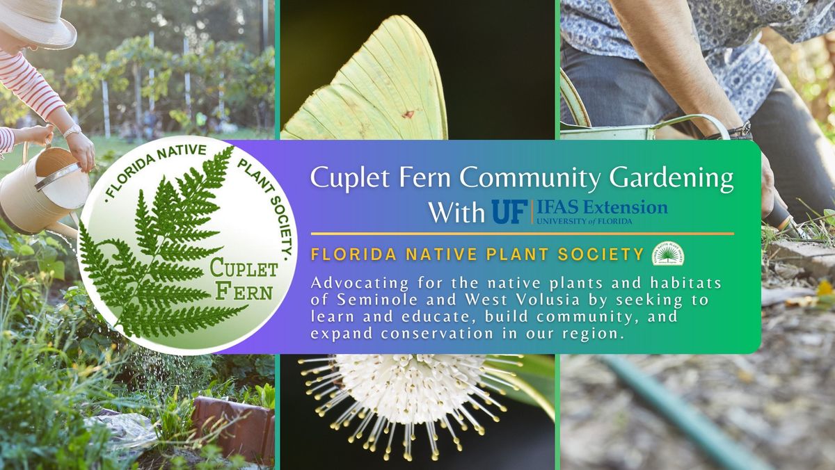 Cuplet Fern Community Gardening: Seminole IFAS Florida Friendly Landscape