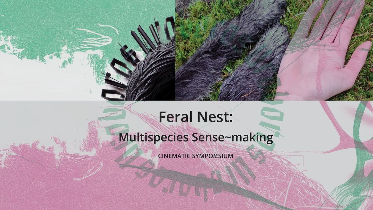 Feral Nest: Multispecies Sense~making