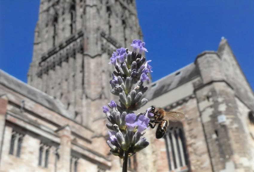 Cathedral Garden & Grounds Tour