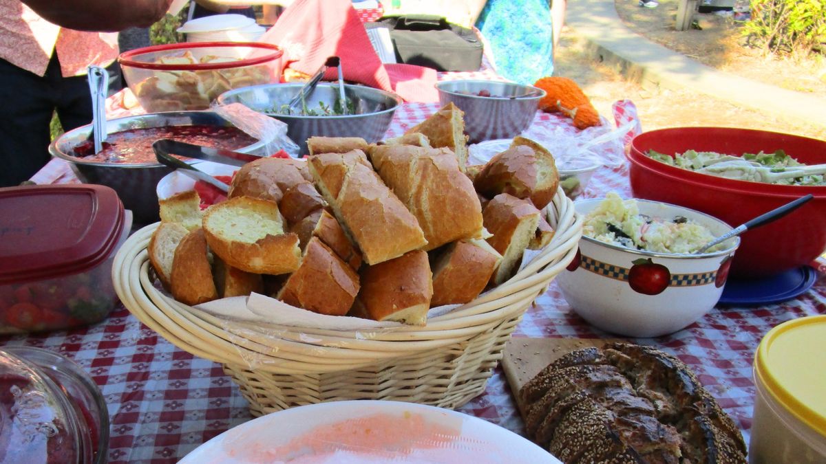 SOICS' Potluck In The Park