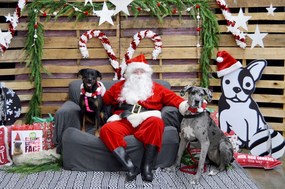 Pets with SANTA Photos at UPCO 