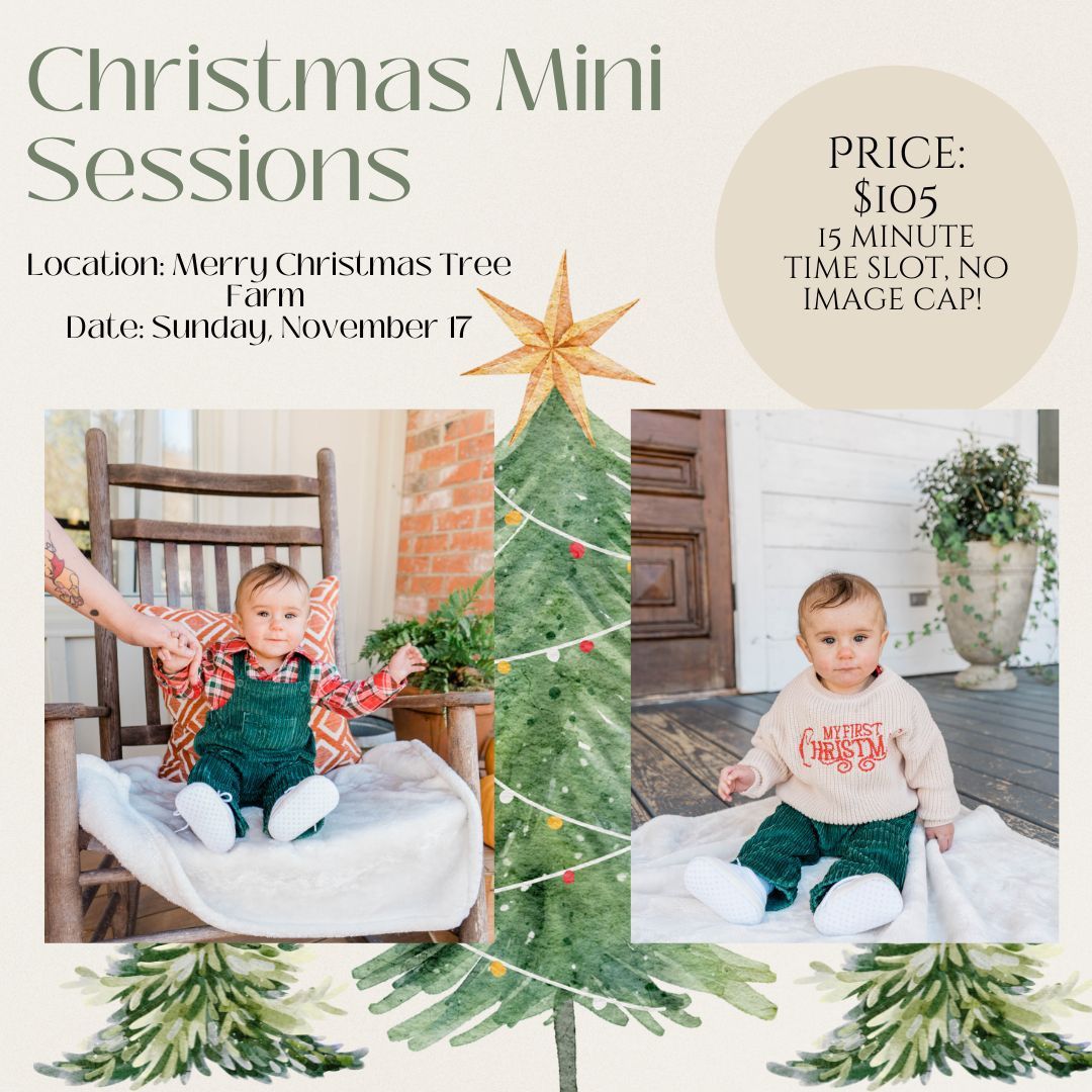 Mini Sessions at Merry Christmas Tree Farm