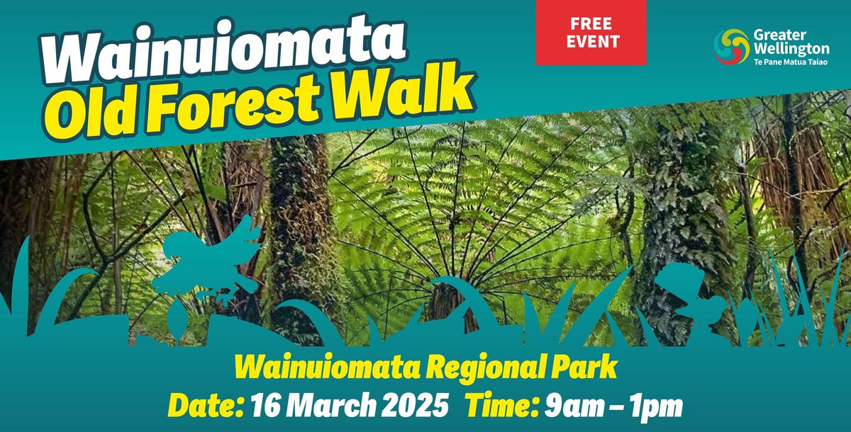 Wainuiomata Old Forest Walk