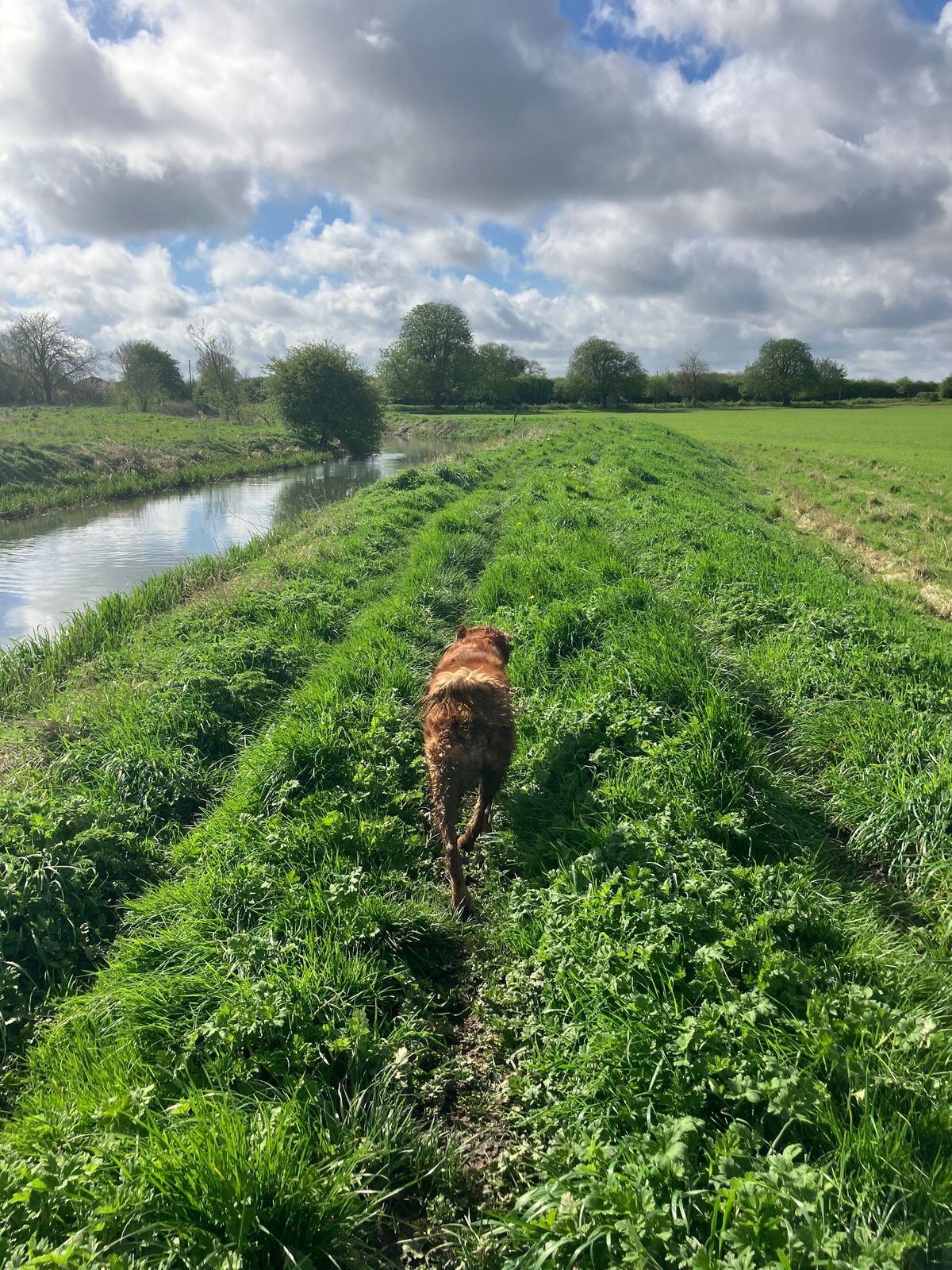 Foston on the Wolds Winter Wander