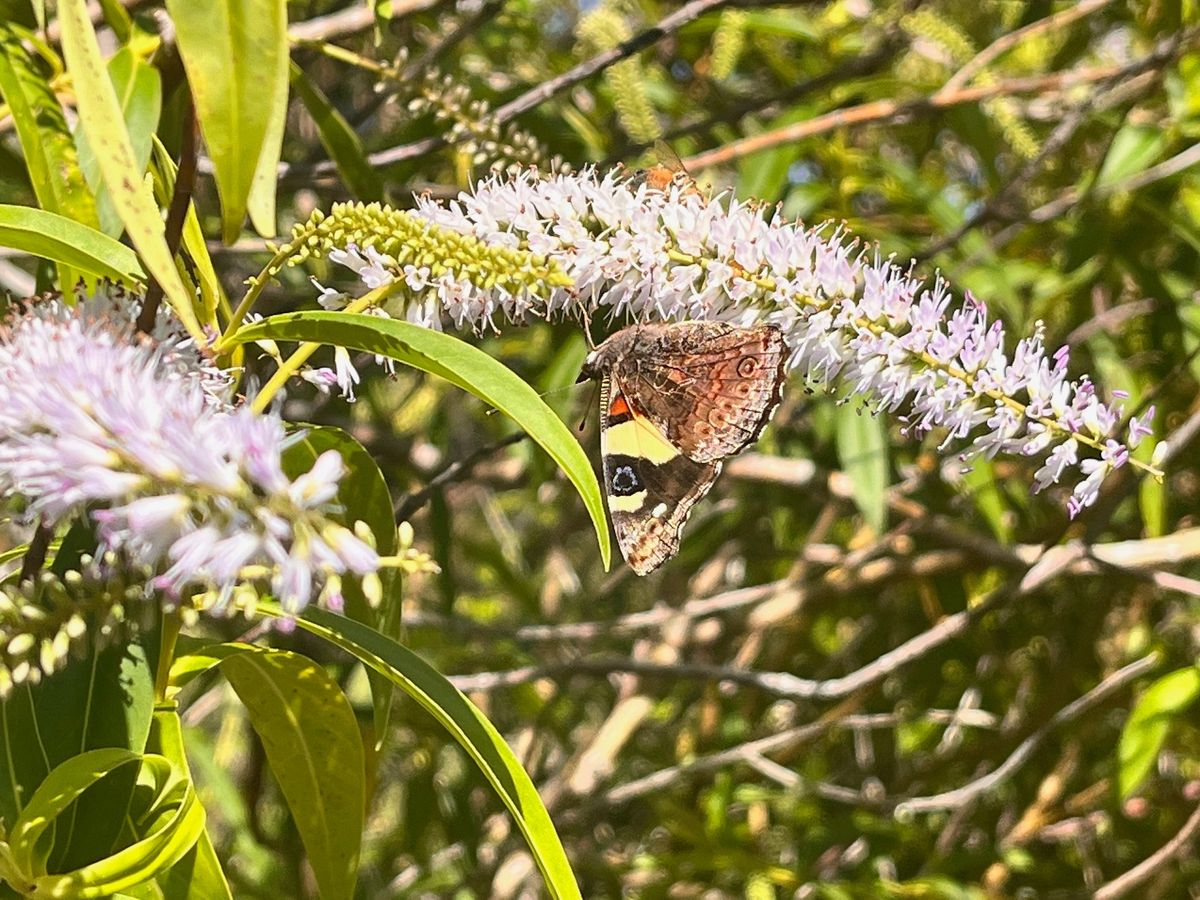 Pride visit to Zealandia