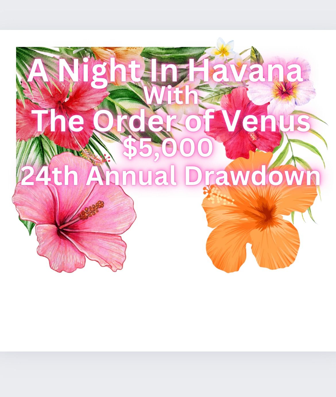 A Night in Havana OOV Drawdown