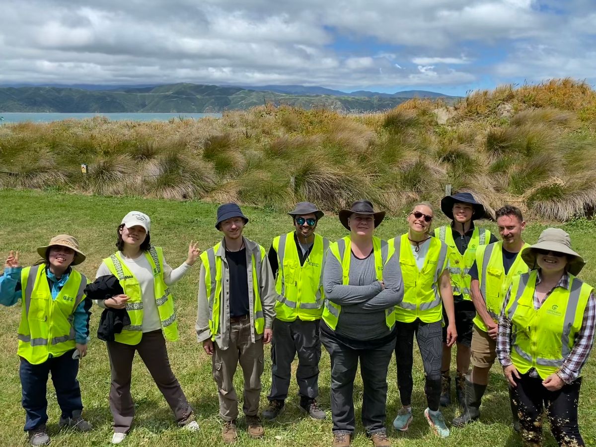 Community Conservation - Coastal Dune Restoration