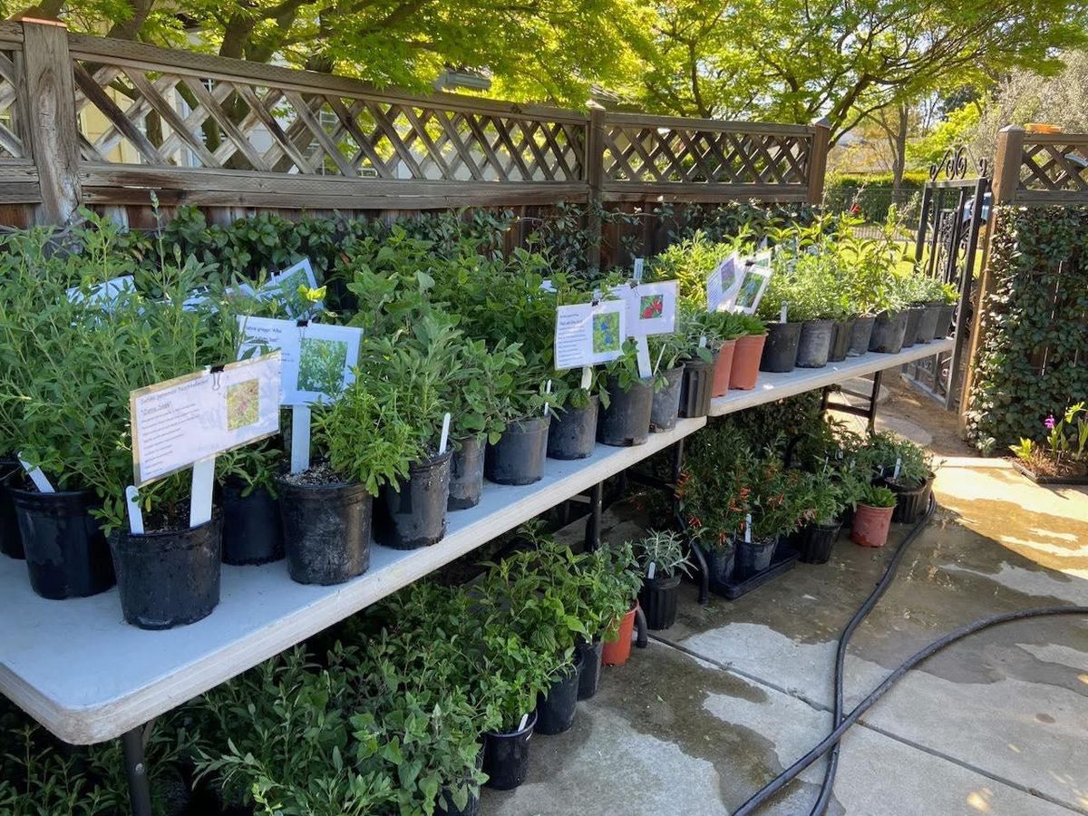 Fresno Master Gardeners Spring Plant Sale