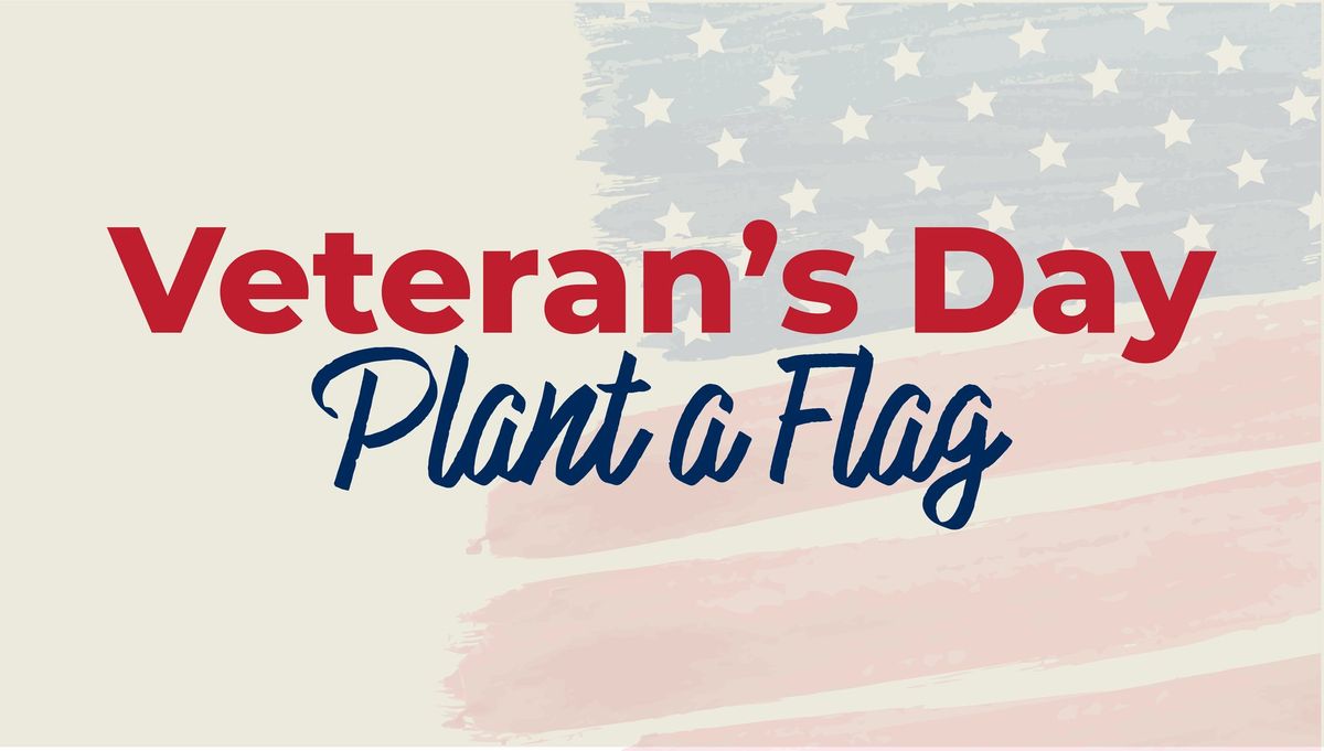 Veteran's Day- Plant a Flag