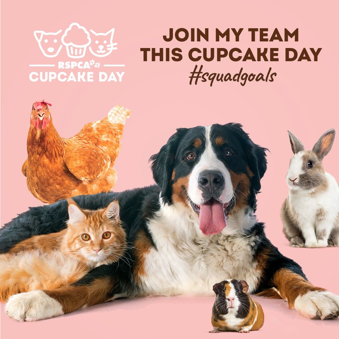 RSPCA Cupcake Day