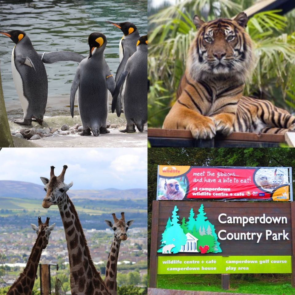 Edinburgh Zoo with Camperdown Wildlife Centre