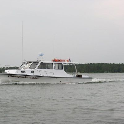 Fish The Bay Charters