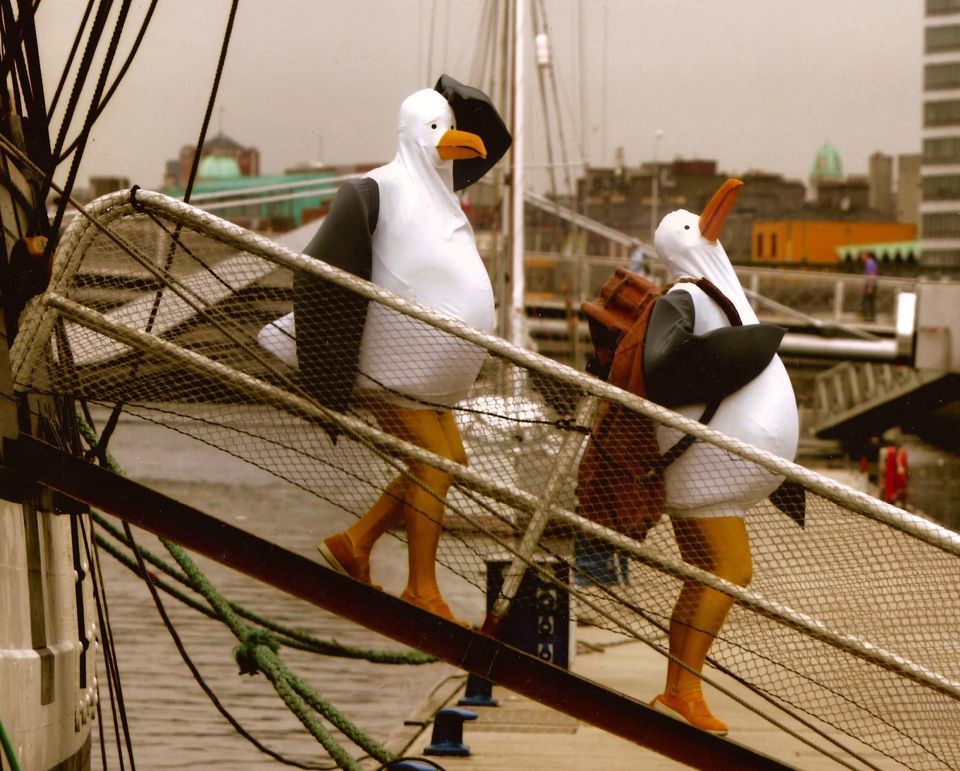Fremantle International Street Arts Festival presents The Giant Seagulls