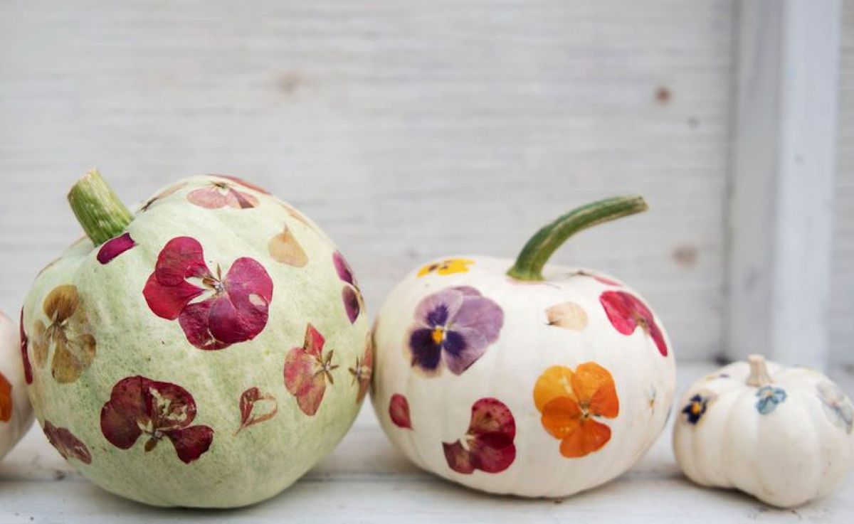 Pressed Floral Pumpkins