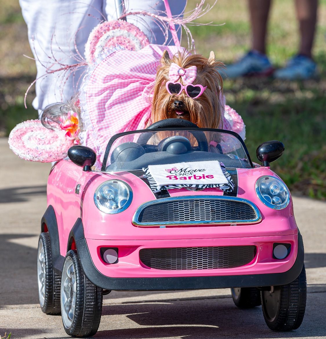 Third Annual Halloween Pet Parade