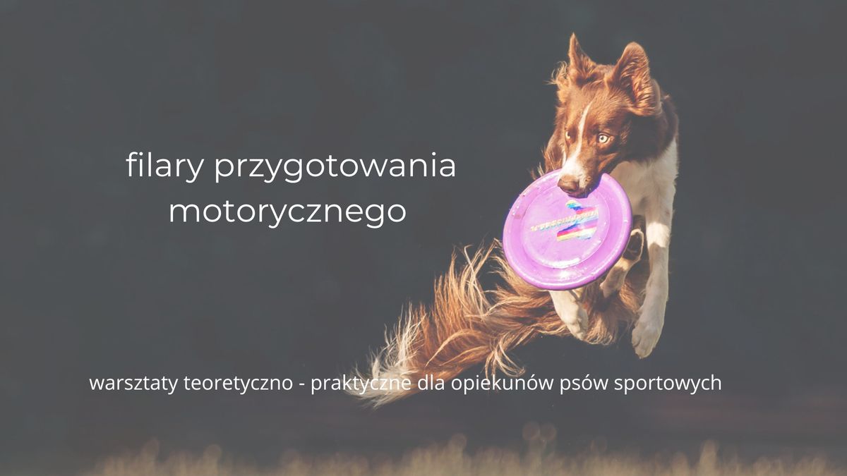 Filary przygotowania motorycznego - warsztaty dla opiekun\u00f3w ps\u00f3w sportowych