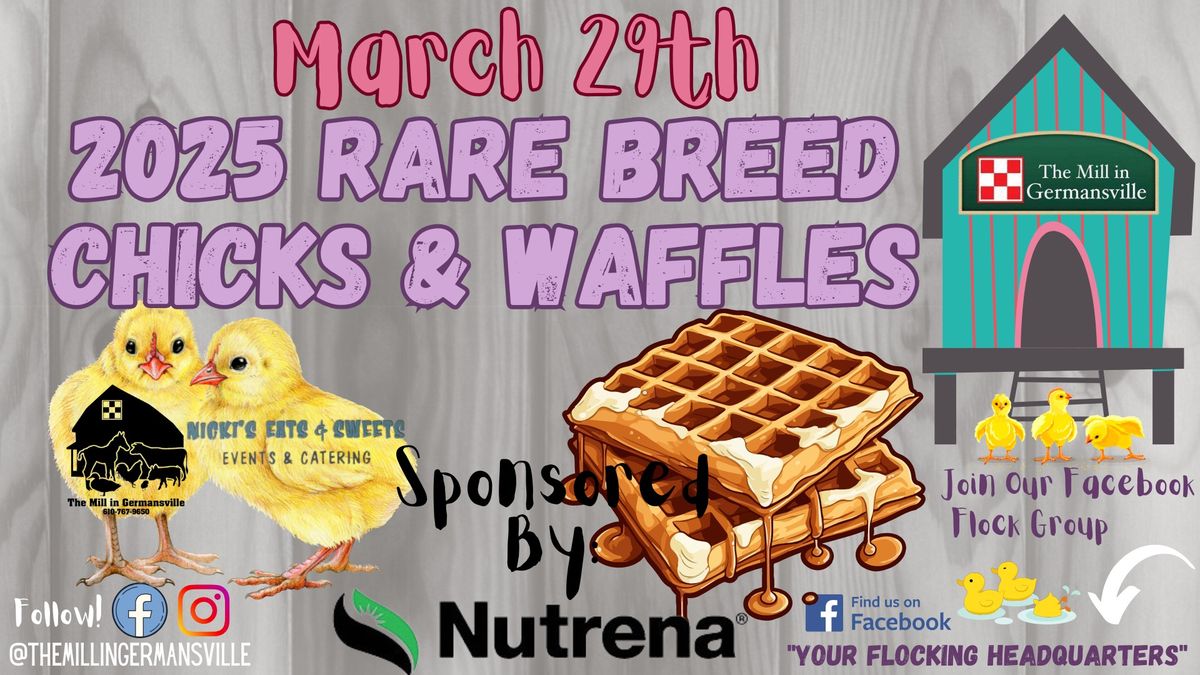 Rare Breed Chicks and Waffles Saturday 