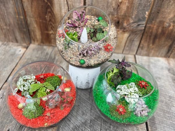 Holiday Terrarium Workshop