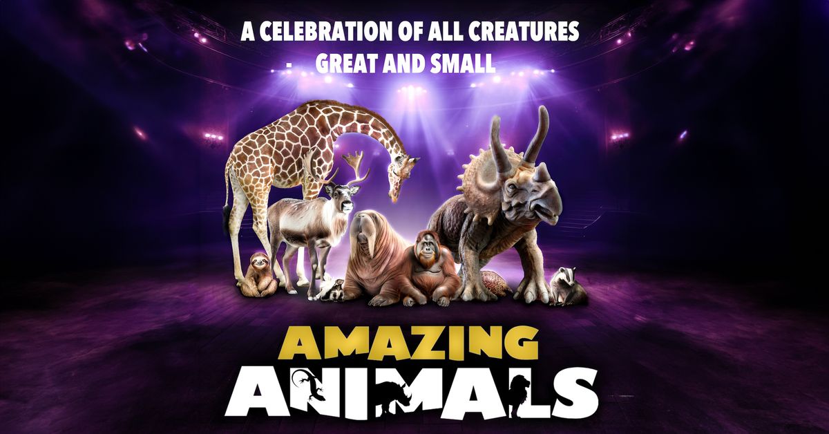 Amazing Animals