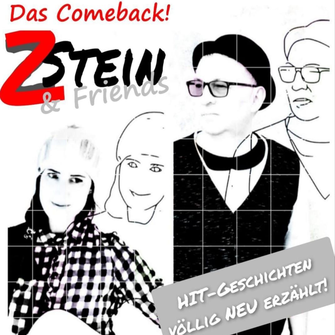 2Stein & Friends, Das Comeback