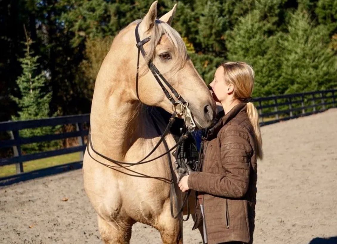 French Classical Riding With Pippa Callanan 