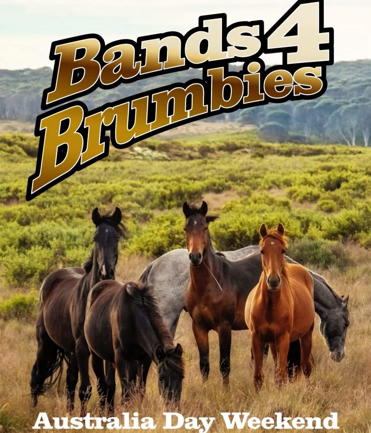 Bands4Brumbies Fundraiser