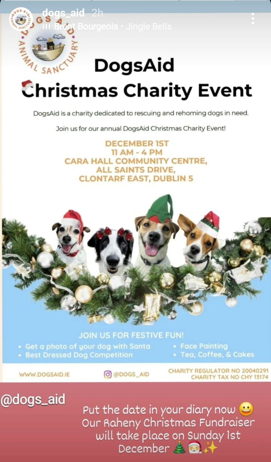 Dogs Aid Christmas Charity Event